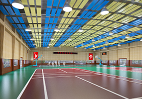 體育場館、文旅場館項目